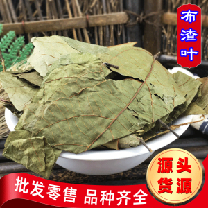 布渣叶中药材正品500g克薢宝叶破布叶麻布叶广凉茶原材新货布楂叶