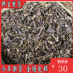 中药材 野生苏叶 正品紫苏叶梗 纯天然新鲜干货 泡茶 500克包邮粉
