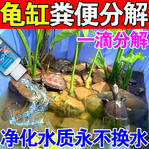 乌龟粪便清理分解剂龟缸消毒杀菌除臭鱼缸除氯净水剂一滴清免换水