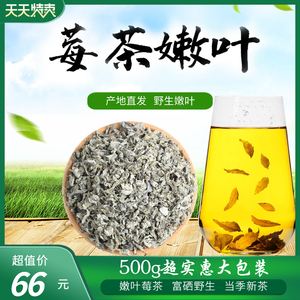 正品嫩叶莓茶张家界特级野生500g富硒藤茶土家霉茶苦甘露茶叶