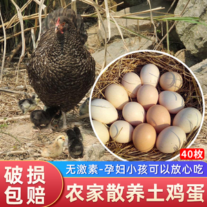 正宗土鸡蛋农家散养新鲜农村放养草鸡蛋自养孕妇可生吃柴鸡蛋40枚
