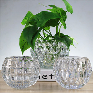 创意简约透明圆形水培植物玻璃花瓶绿萝器皿水养容器花盆摆件花器