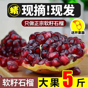 四川会理突尼斯新鲜石榴9斤礼盒装薄皮软籽石榴一级大果超甜水果5