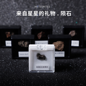 天然镍铁陨石西北非球粒石铁陨石橄榄陨石天铁星星礼物科普标本