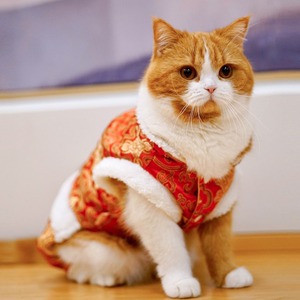 猫咪衣服冬季拜年宠物布偶新年小猫棉衣唐装过年喜庆冬天猫猫四脚