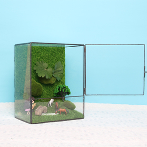 多肉苔藓微景观透明玻璃花盆迷你雨林造景盒几何玻璃花房桌面摆件