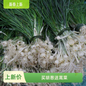 2024湖南新鲜野葱野蒜小根蒜胡葱薤白香葱野菜现挖现卖500g包邮