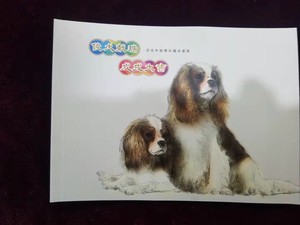 2018-1狗年生肖个性化小本票册俊犬献瑞戊戌大吉个性化本邮票册