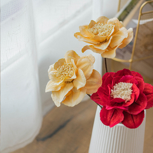 kakawood素居家居软装饰品天然植物干花干果设计花艺白瓣木槿插花