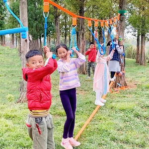 儿童体能训练器材家用体适能秋千幼儿园户外体育活动器械攀爬玩具