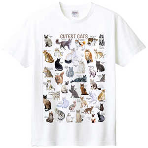 猫咪大全短袖动物合集T恤猫奴猫类种类透气印花纯棉宽松国家地理