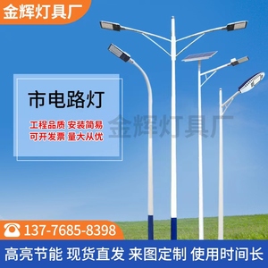 路灯杆6米7米8米新农村太阳能LED挑臂灯防爆单臂双头高低臂路灯