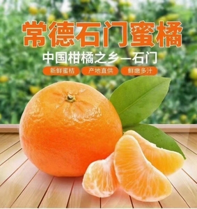 石门柑橘蜜桔湖南土特产早熟橘子桔子新鲜水果常德石门应季9斤重
