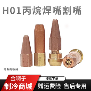 焊嘴焊枪焊炬嘴H01-2梅花型焊枪头2L升便携式焊具煤气液化气焊咀