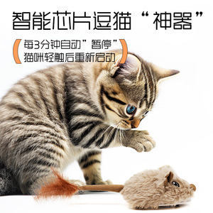新款网红电动老鼠逗猫玩具自嗨解闷发声智能小老鼠USB充电猫玩具