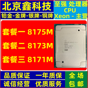 Intel英特尔至强Xeon8175MCPU8173M服务器8171M处理器散片正式版