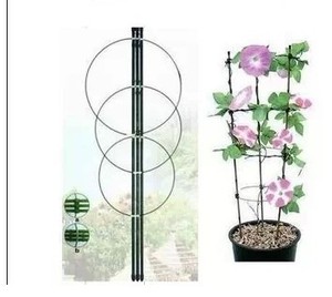 爬藤架花支架植物花架月季爬藤架铁环花支柱蔬菜爬藤架包邮 阿里巴巴找货神器 爬藤架花支架植物花架月季爬藤架铁环花支柱蔬菜爬藤架包邮 阿里巴巴找货神器