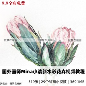 国外画师 Mina小清新水彩花卉水果手绘视频教程美术参考临摹素材
