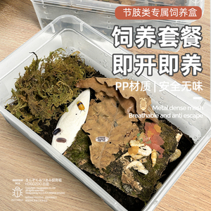 鼠妇套餐新手入门简单易养桌面微景观西瓜虫蜘蛛跳蛛甲虫饲养套餐