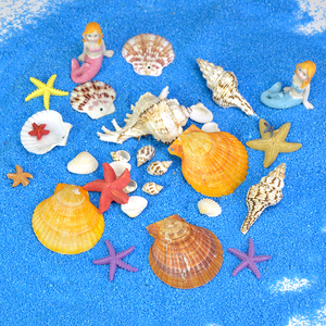 鱼缸装饰品内饰小摆件天然贝壳海螺海底世界造景套餐美人鱼海星