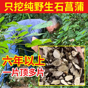 爷爷挖的深山纯野生石菖蒲500g中药材片饮远志粉根石昌蒲茶正品