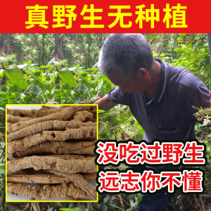 爷爷家深山纯野生远志250g克中药材片饮茶酸枣仁特级正品抽芯根皮