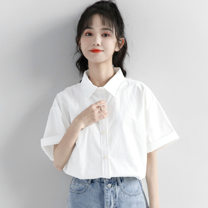 韩国2024新款白色短袖衬衫女夏季polo领上衣正肩休闲气质工装衬衣