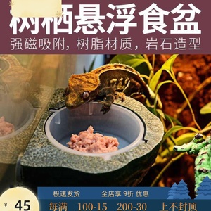 树栖型食盆睫角守宫水盆磁力悬浮果泥吸盘喂食器活食防逃脱