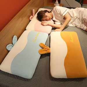 记忆棉枕头单个枕芯带枕套睡眠护颈椎超柔软家用成人长款平枕低枕