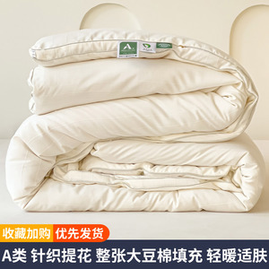 a类棉被子被芯冬被加厚保暖2023新款冬季10斤丝棉1.5米太空被秋冬