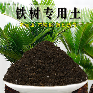 铁树专用土营养土透气通用土壤养花泥土家用种植土有机肥料培养土