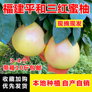 福建漳州三红蜜柚10斤现摘平和红肉红心柚子当季孕妇新鲜水果包邮