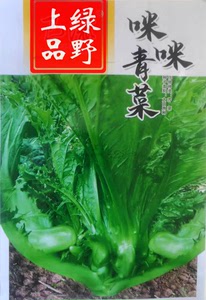 重庆四川农家老品种地方特色酸菜泡菜种子 泡青菜奶奶菜包包青菜
