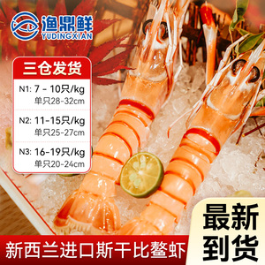 新西兰进口鳌虾斯干比小龙虾1号2号3号scampi盒装高品质日料刺身