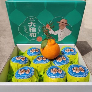 精笃大雅柑春见粑粑柑原箱礼盒8斤装新鲜水果丑八怪柑橘子甜嫩汁