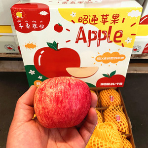 云南昭通红苹果礼盒10斤装新鲜水果冰糖心苹果红富士脆甜多汁