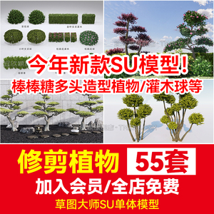 棒棒糖多头造型植物su模型素材树木组合修剪女贞灌木球形绿篱庭院