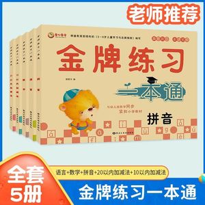 金牌练习一本通拼音语文数学10以20以内加减法3-6岁幼儿园入学前适用儿童幼小衔接学前教育早教书赢在起点幼儿园大班测试卷