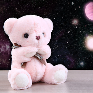 抱抱宝贝泰迪熊毛绒玩具小熊玩偶公仔抱抱熊儿童女孩生日礼物