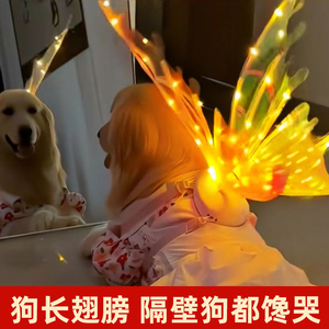 狗狗衣服2023新款宠物服装大型犬中型犬搞怪搞笑小遛狗神器圣诞节