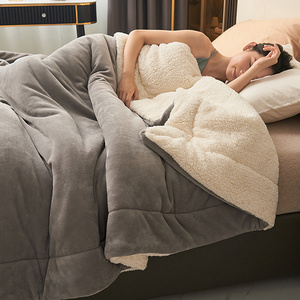 加厚羊羔绒毛毯被子冬季铺床毯子床上用珊瑚绒床单盖毯午睡空调毯