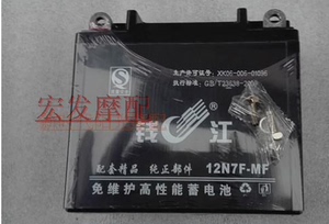 钱江摩托车配件 钱江龙QJ150-19A/19C蓝宝龙电瓶12V7A电池免维护