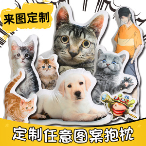 异形diy抱枕定制人形来图可印定做猫咪宠物动物枕头照片订制公仔