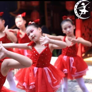 儿童演出服中国芭比戏梦蝶舞蹈亮片公主蓬蓬纱裙红色芭蕾舞台服