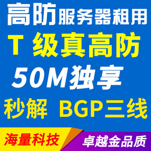 独立高防服务器租用双线800G防护BGP秒解50M微端传奇网页游戏月付