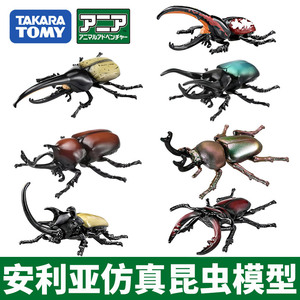 TOMY多美卡安利亚仿真野生动物模型独角仙甲虫瓢虫昆虫玩具摆件男