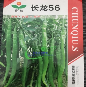 长龙56线椒种子果长可达56厘米青红果两用韩国引进薄皮香辣春秋种