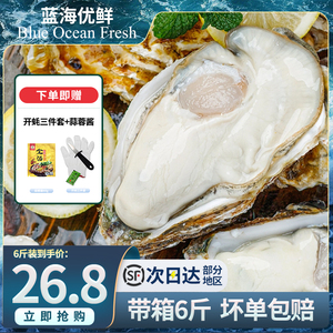 生蚝鲜活10新鲜牡蛎即食特大号非乳山海蛎子整箱6斤-广东海鲜水产