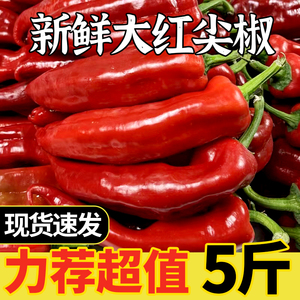【不辣】新鲜大红尖椒辣椒红泡椒灯笼椒剁椒青辣椒酱应季蔬菜5斤