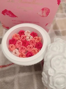 现货日本 LADUREE拉杜丽 限定手捧花玫瑰陶瓷盅小花瓣腮红